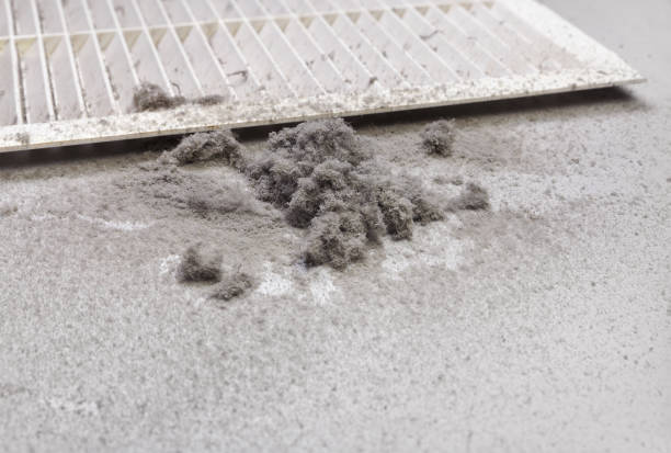 Best Residential Air Duct Cleaning  in Harrisville, WV