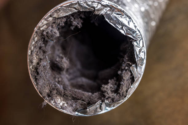 Best Residential Air Duct Cleaning  in Harrisville, WV